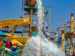 -秦皇岛乐岛海洋王国