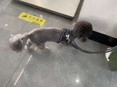 -贝利宠物医院·骨科·眼科·肿瘤转诊中心(南坪诊疗中心)