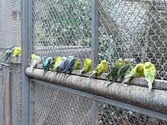 -正佳雨林生态植物园
