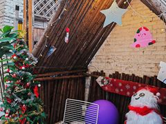 -大象厨房(重庆道店)