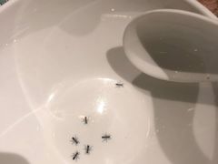 -唐宫小聚(荃湾荃新天地店)