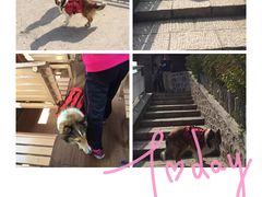 -北京佳信宠物医院