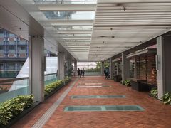 -香港大学