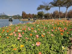 -顺峰山公园
