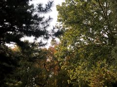 -钓鱼台国宾馆