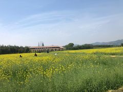 -良渚古城遗址公园