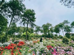 -南山植物园