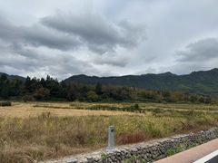 -塔川景区