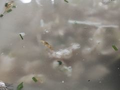 -温州一家人美食(西木头市店)