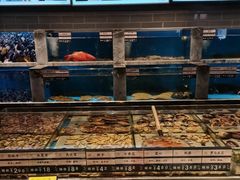 -百富源·海鲜辽菜(和平北大街店)