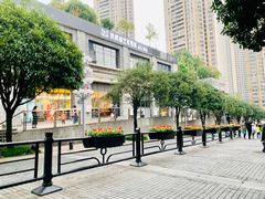 -重庆市江北嘴中央商务区中央公园