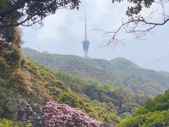 -梧桐山风景名胜区
