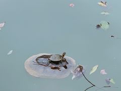 -南华禅寺
