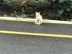 -愿者上钩(布吉老街店)