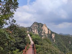 -大岭沟猕猴桃谷风景区