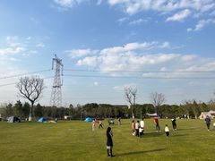 -长田漾湿地公园