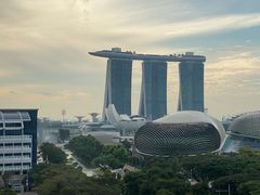 -新加坡瑞士史丹福酒店