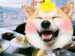 -Hi City·城市之巅