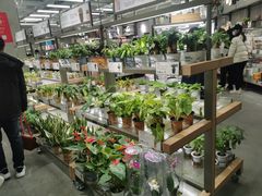 -鹿岛会员店(熙地港店)