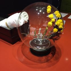 -奈瑞儿美颜塑身SPA