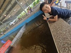 -粮心小农·大头虾亲子生态园(长发店)