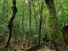 -昆明青龙峡风景区
