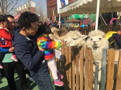 -萌宠亲子动物乐园(槐房万达店)