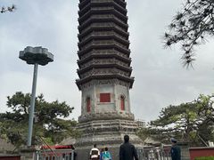 -西海子公园