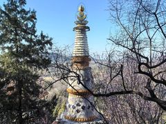 -颐和园