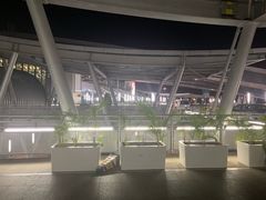 -西沃古尔·拉姆古兰爵士国际机场