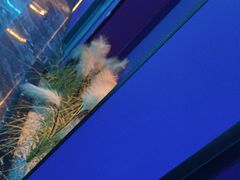 -青春足迹·概念店·小憩足疗SPA