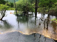 -黄龙山原始森林景区