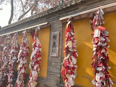 -天龙宝严素食馆(大兴善寺店)