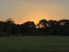 -顺峰山公园