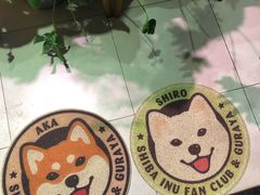 -柴务处·柴犬主题狗咖