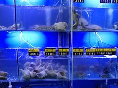水产区-金龙·打边炉(武进路店)