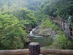 -马峦山郊野公园