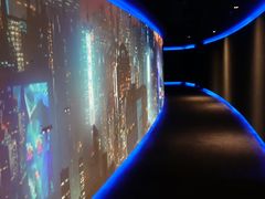 -万达影城(闵行颛桥万达广场杜比影院店)