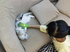 -怪兽屋·羊驼·猫咖·狗咖(俊华广场店)