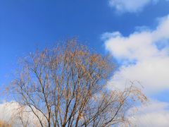 -钟山体育运动公园