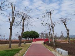 -芒洲湿地公园