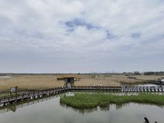 -宁波杭州湾国家湿地公园