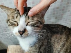 -玉椰林甜品店(创始店)