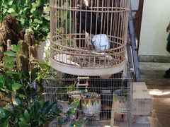 -丽江庭院·云南野生菌·海鲜火锅(鼓楼四合院店)