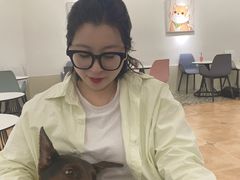 -Let's go狗咖·猫咖·奶狗·桌游(春熙路IFS店)