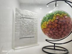 -上海失恋博物馆