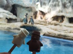 -帝企鹅自助餐厅•儿童岛•真企鹅(长隆企鹅酒店)