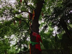 -敬亭山风景名胜区