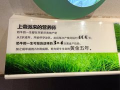 -君乐宝优致牧场