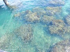 -三亚西岛海洋文化旅游区